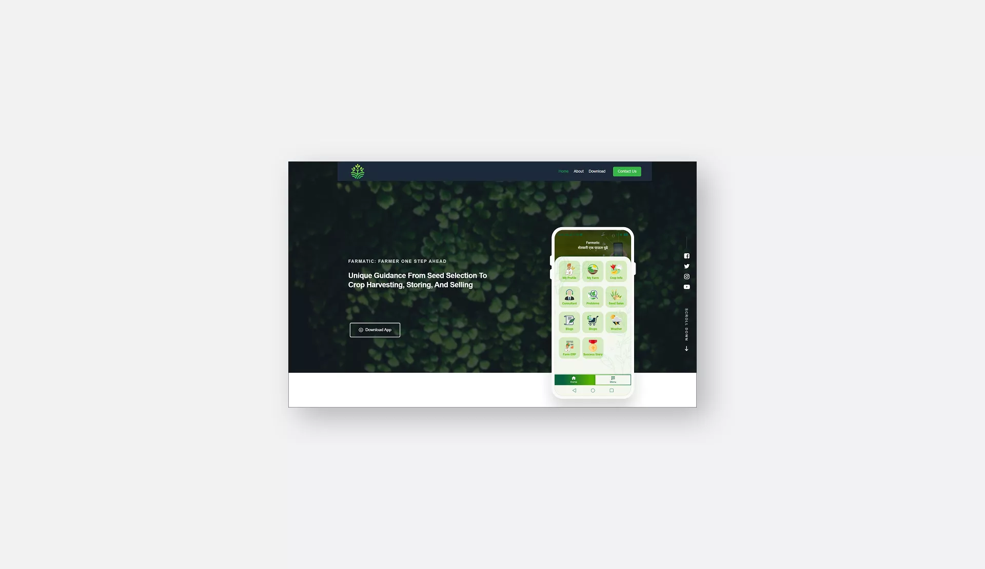 project images